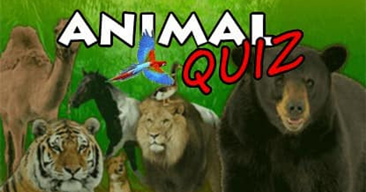 Animal Quiz Juego Online Gratis MisJuegos